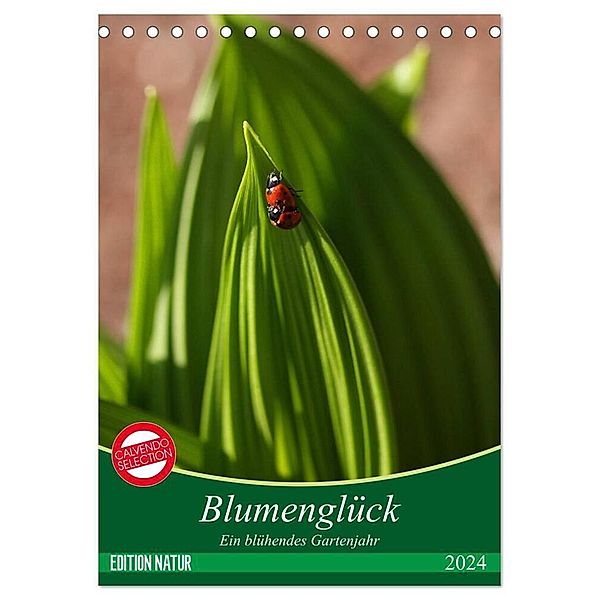 Blumenglück. Ein blühendes Gartenjahr (Tischkalender 2024 DIN A5 hoch), CALVENDO Monatskalender, Gisela Kruse