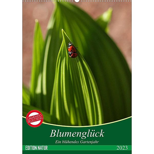 Blumenglück. Ein blühendes Gartenjahr (Wandkalender 2023 DIN A2 hoch), Gisela Kruse