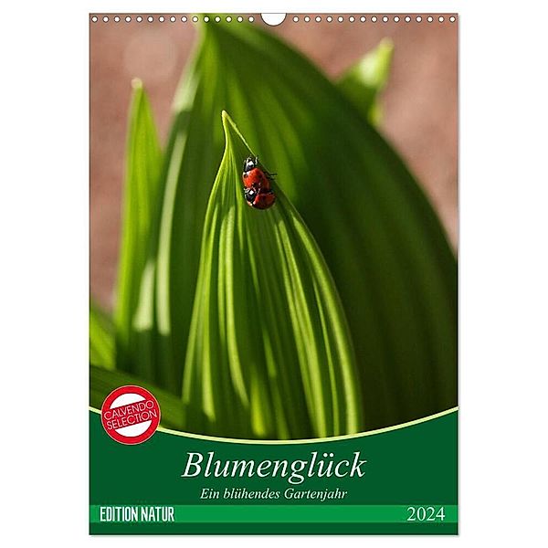 Blumenglück. Ein blühendes Gartenjahr (Wandkalender 2024 DIN A3 hoch), CALVENDO Monatskalender, Gisela Kruse