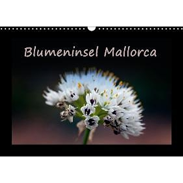 Blumeninsel Mallorca / AT-Version (Wandkalender 2015 DIN A3 quer), Angelika Stern