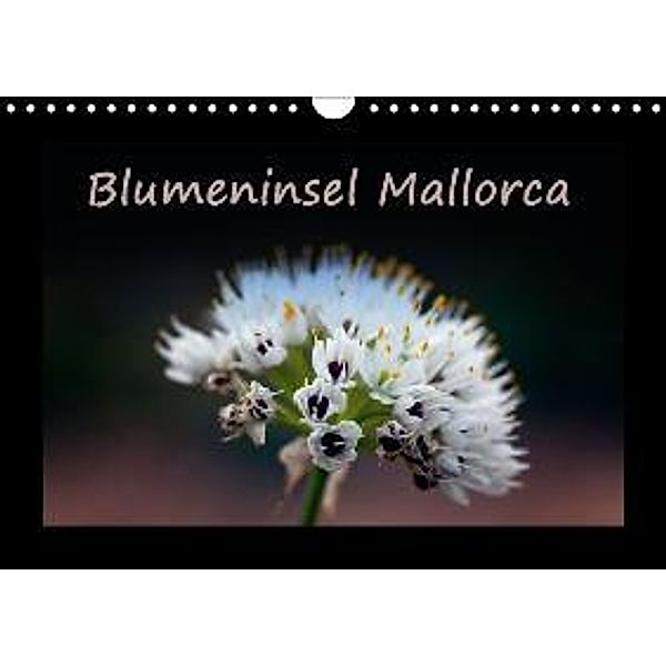 Blumeninsel Mallorca / AT-Version (Wandkalender 2015 DIN A4 quer), Angelika Stern