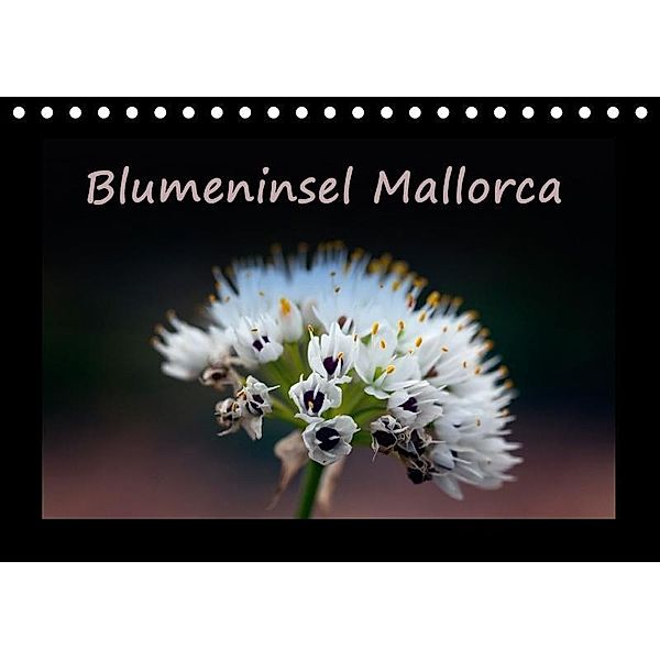 Blumeninsel Mallorca (Tischkalender 2017 DIN A5 quer), Angelika Stern