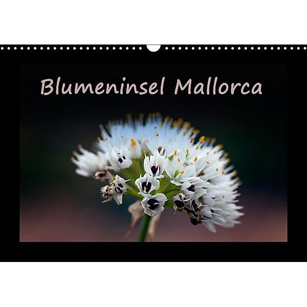 Blumeninsel Mallorca (Wandkalender 2017 DIN A3 quer), Angelika Stern