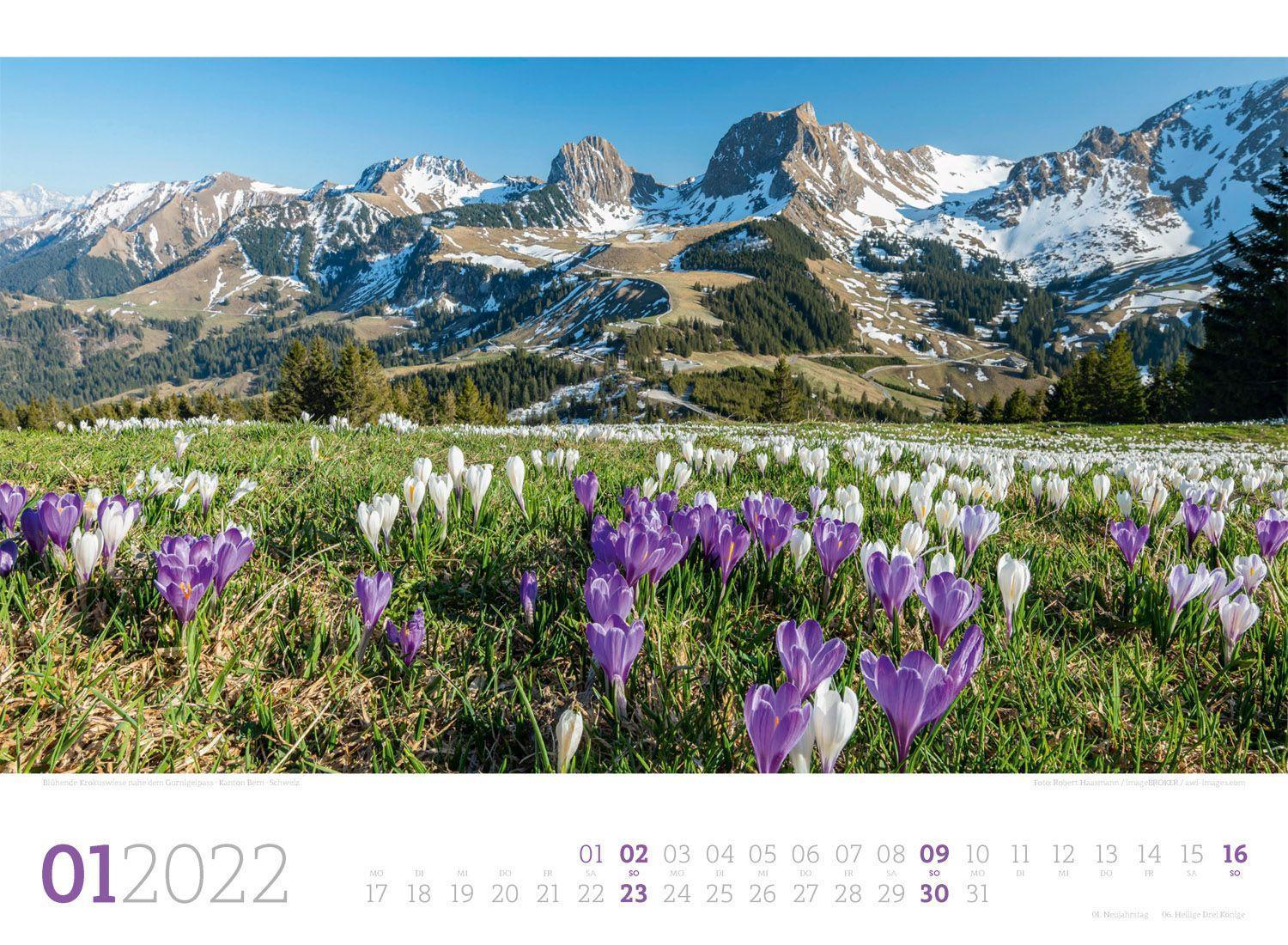 Blumenmeer Kalender 2022 Landschaften in voller Blüte - Landschaftskalender / Naturkalender 45x33 cm Wandkalender im Querformat 