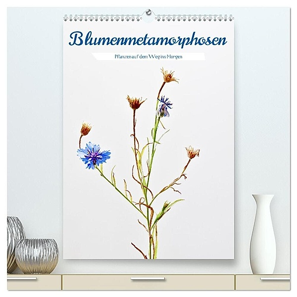 Blumenmetamorphosen (hochwertiger Premium Wandkalender 2024 DIN A2 hoch), Kunstdruck in Hochglanz, Clemens Stenner