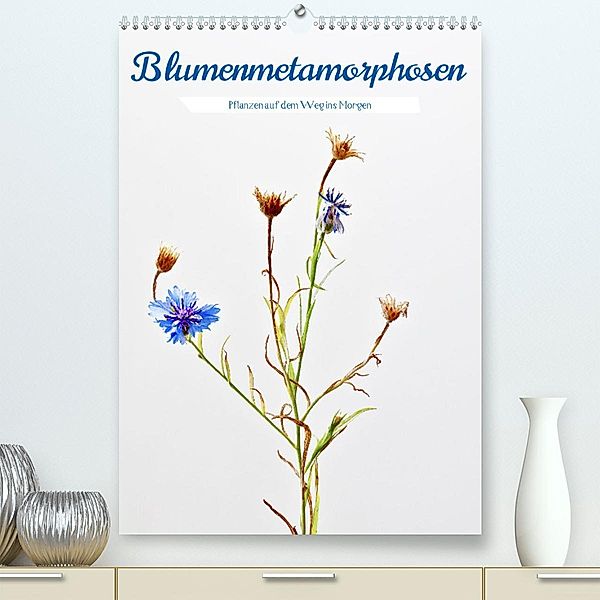 Blumenmetamorphosen (Premium, hochwertiger DIN A2 Wandkalender 2023, Kunstdruck in Hochglanz), Clemens Stenner