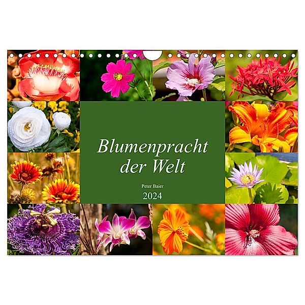 Blumenpracht der Welt (Wandkalender 2024 DIN A4 quer), CALVENDO Monatskalender, Peter Baier