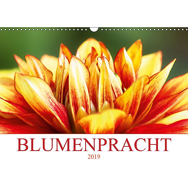 Blumenpracht (Wandkalender 2019 DIN A3 quer), Angela Dölling