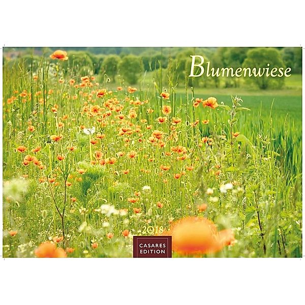 Blumenwiese 2018