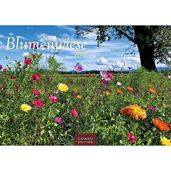 Blumenwiese 2019