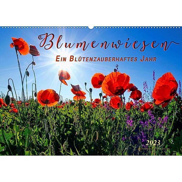 Blumenwiesen - ein blütenzauberhaftes Jahr (Wandkalender 2023 DIN A2 quer), Peter Roder