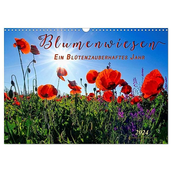 Blumenwiesen - ein blütenzauberhaftes Jahr (Wandkalender 2024 DIN A3 quer), CALVENDO Monatskalender, Peter Roder