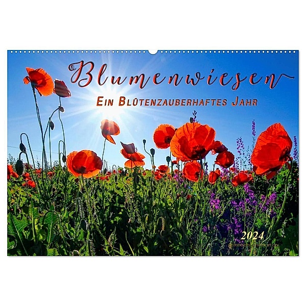 Blumenwiesen - ein blütenzauberhaftes Jahr (Wandkalender 2024 DIN A2 quer), CALVENDO Monatskalender, Peter Roder