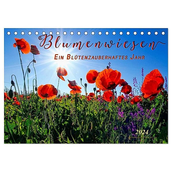 Blumenwiesen - ein blütenzauberhaftes Jahr (Tischkalender 2024 DIN A5 quer), CALVENDO Monatskalender, Peter Roder