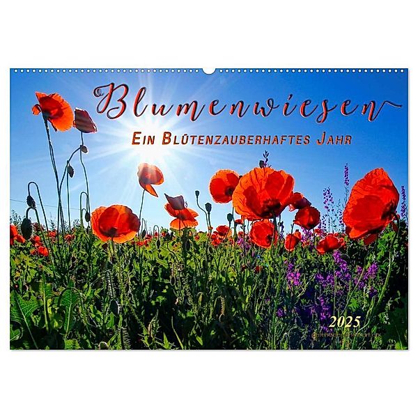 Blumenwiesen - ein blütenzauberhaftes Jahr (Wandkalender 2025 DIN A2 quer), CALVENDO Monatskalender, Calvendo, Peter Roder