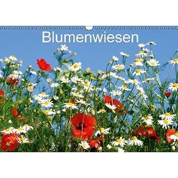 Blumenwiesen (Wandkalender 2016 DIN A3 quer)