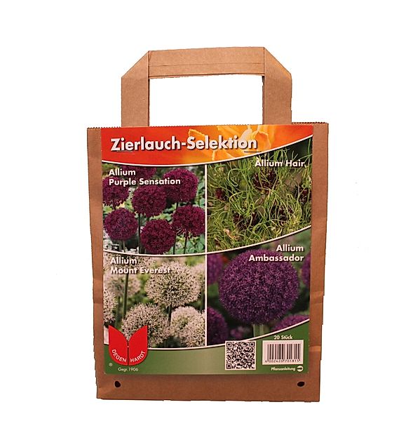 Blumenzwiebel-Sortiment Zierlauch Selektion, bestehend aus 6 Allium Purple Sensation - Größe 9/10, 10 Allium Hair - Größe 4/5, 2 Allium Mount Everest - Größe 18/20, 2 Allium Gladiator - Größe 14/16, gesamt 20 Zwiebel