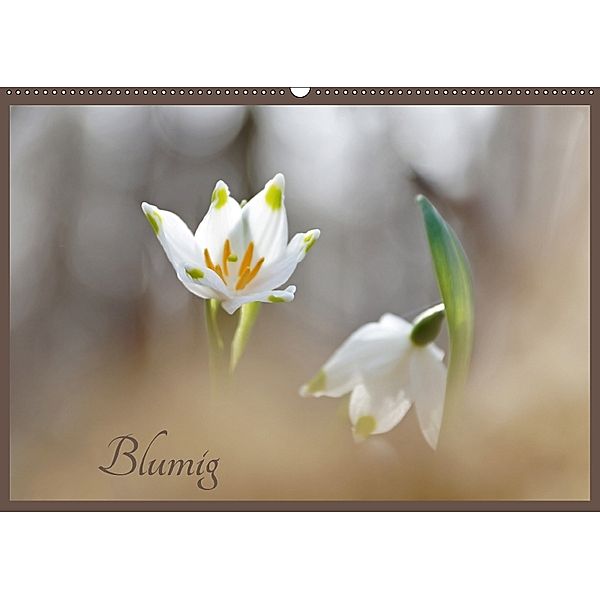 Blumig (Wandkalender 2018 DIN A2 quer), Flori0