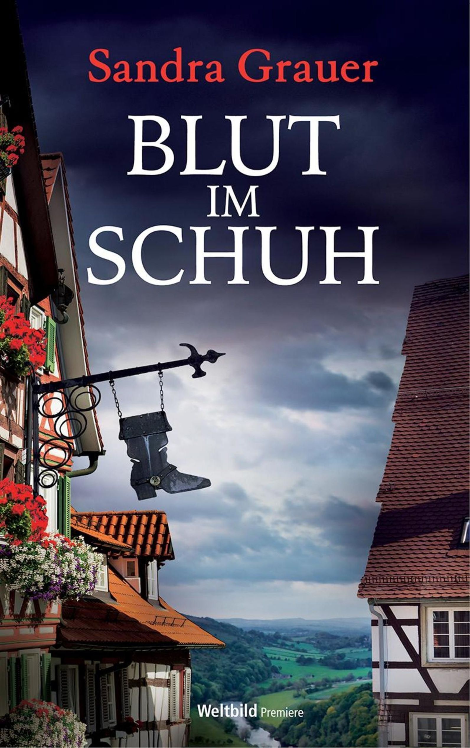 Blut Im Schuh Ebook Gunstig Bei Weltbild De Als Download