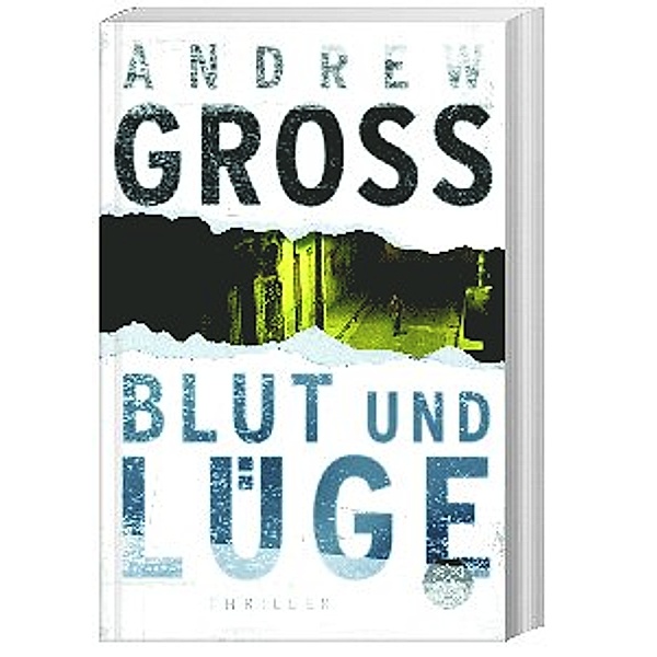 Blut und Lüge, Andrew Gross