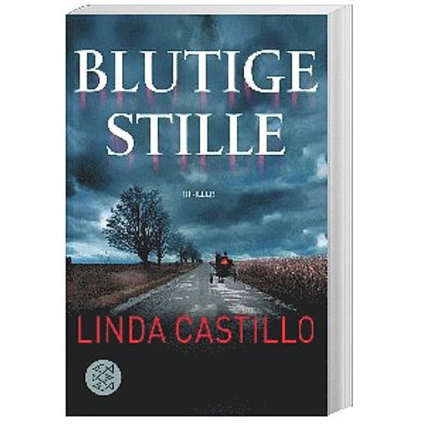 Blutige Stille / Kate Burkholder Bd.2, Linda Castillo