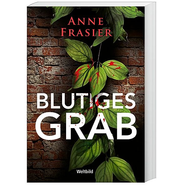 Blutiges Grab, Anne Frasier