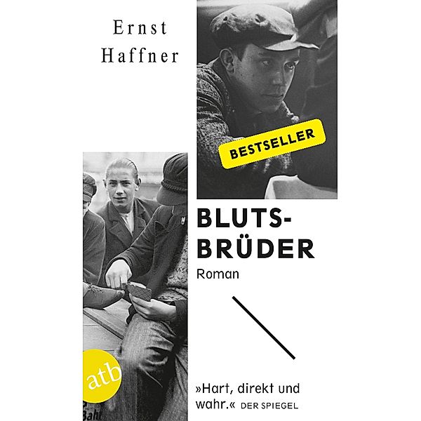 Blutsbrüder / Aufbau Taschenbücher Bd.3069, Ernst Haffner