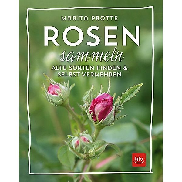 BLV Pflanzenpraxis / Rosen sammeln, Marita Protte