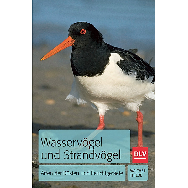 BLV Vögel / Wasservögel und Strandvögel, Walther Thiede