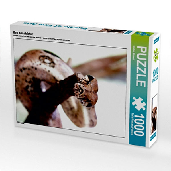 Boa constrictor (Puzzle), Stefan Mosert