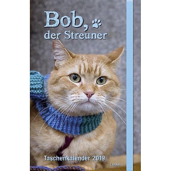 Bob, der Streuner 2019, James Bowen