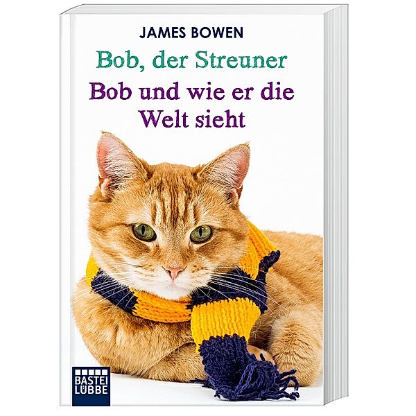 Bob, der Streuner / Bob und wie er die Welt sieht, James Bowen