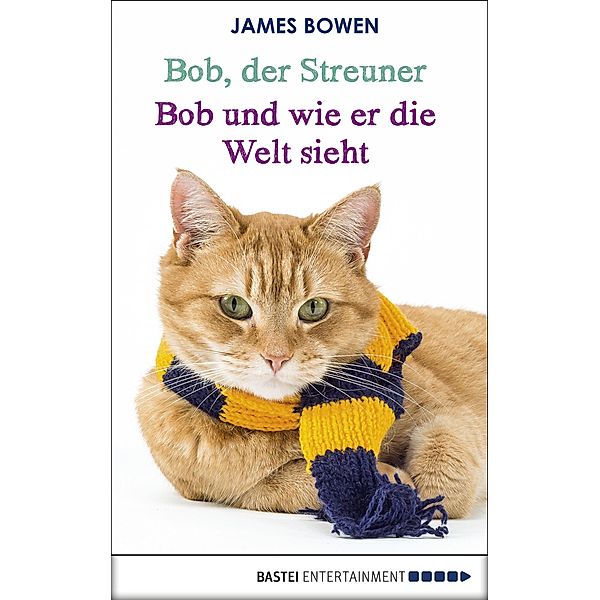 Bob und wie er die Welt sieht / Bob, der Streuner Bd.2, James Bowen
