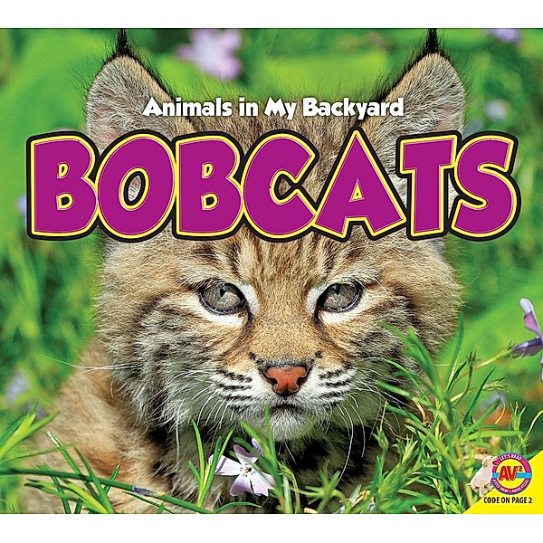 Bobcats, Aaron Carr