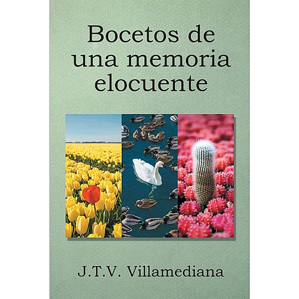 Bocetos de una memoria elocuente, J. T. V. Villamediana