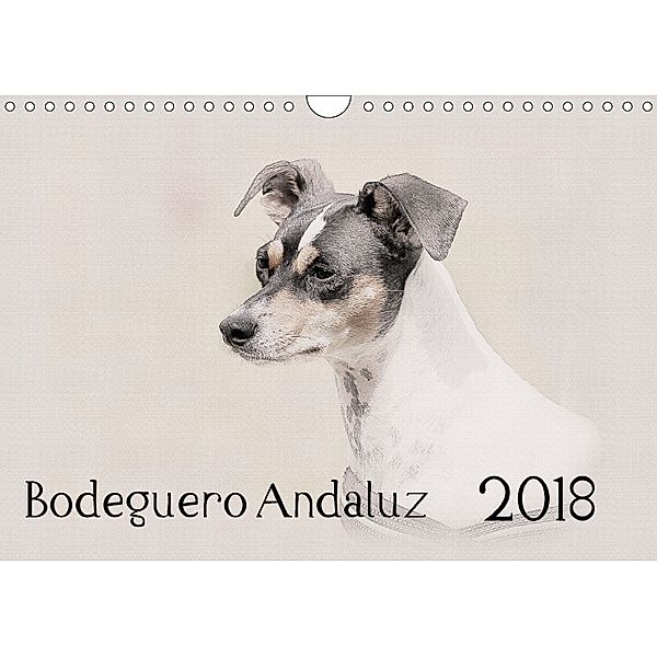 Bodeguero Andaluz 2018 (Wandkalender 2018 DIN A4 quer), Andrea Redecker