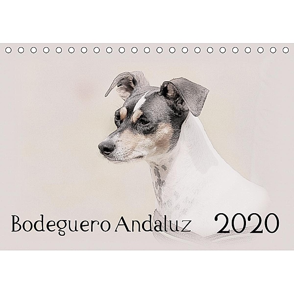 Bodeguero Andaluz 2020 (Tischkalender 2020 DIN A5 quer), Andrea Redecker