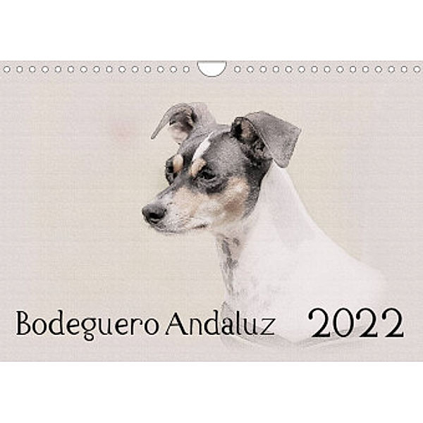 Bodeguero Andaluz 2022 (Wandkalender 2022 DIN A4 quer), Andrea Redecker