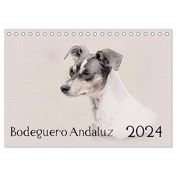 Bodeguero Andaluz 2024 (Tischkalender 2024 DIN A5 quer), CALVENDO Monatskalender, Andrea Redecker