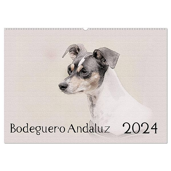 Bodeguero Andaluz 2024 (Wandkalender 2024 DIN A2 quer), CALVENDO Monatskalender, Andrea Redecker