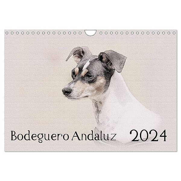 Bodeguero Andaluz 2024 (Wandkalender 2024 DIN A4 quer), CALVENDO Monatskalender, Andrea Redecker