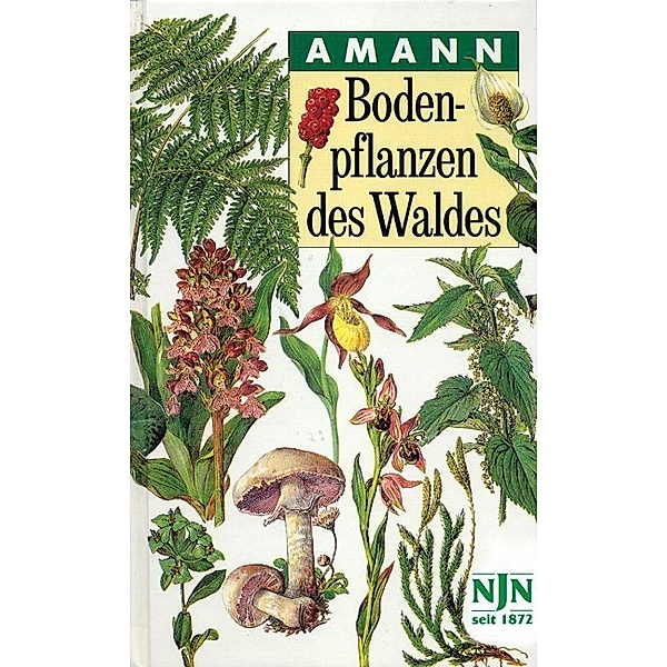 Bodenpflanzen des Waldes, Gottfried Amann