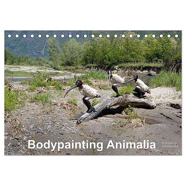 Bodypainting Animalia (Tischkalender 2024 DIN A5 quer), CALVENDO Monatskalender, Romana Lara
