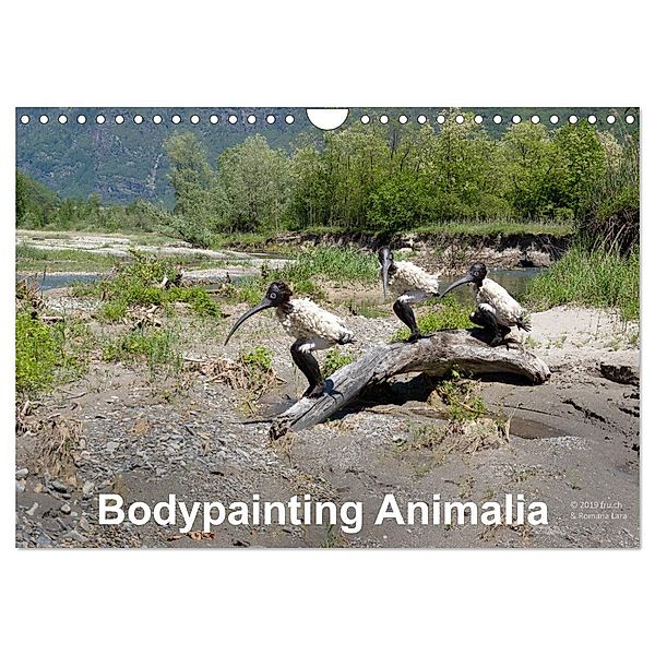 Bodypainting Animalia (Wandkalender 2024 DIN A4 quer), CALVENDO Monatskalender, Romana Lara