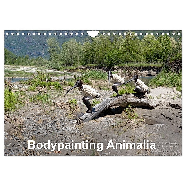 Bodypainting Animalia (Wandkalender 2025 DIN A4 quer), CALVENDO Monatskalender, Calvendo, Romana Lara