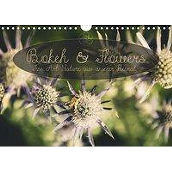 Bokeh and Flowers - Fine Art Nature aus unserer Heimat (Wandkalender 2020 DIN A4 quer), Simeon Trefoil