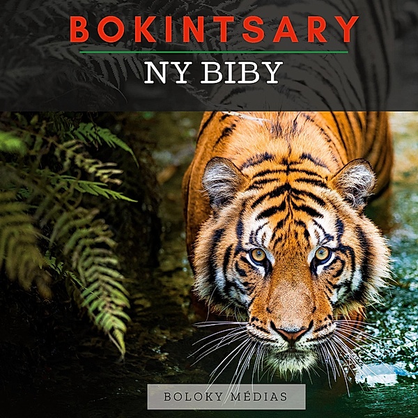 Bokintsary - Ny biby / Bokintsary Bd.1, Boloky Médias