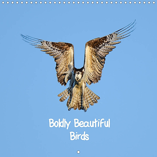 Boldly Beautiful Birds (Wall Calendar 2023 300 × 300 mm Square), T. L. Treadway