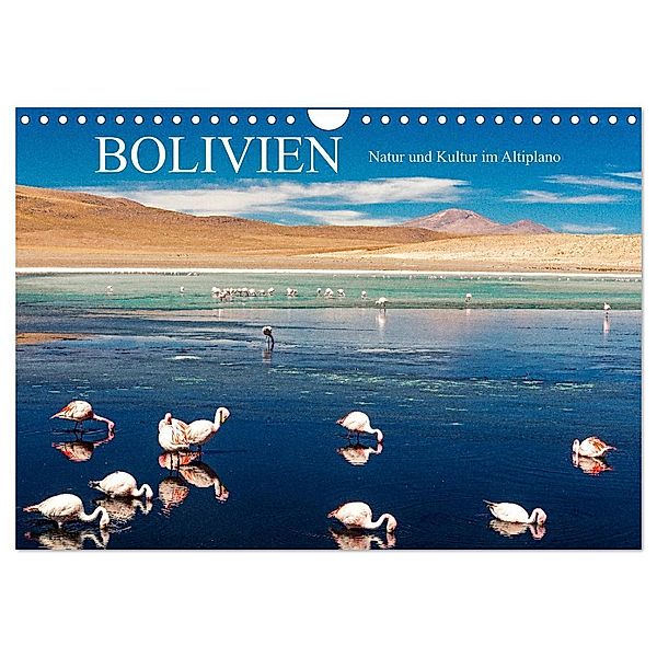 Bolivien - Natur und Kultur im Altiplano (Wandkalender 2024 DIN A4 quer), CALVENDO Monatskalender, Harry Müller