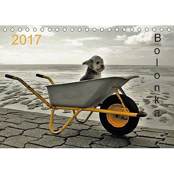 Bolonka 2017 (Tischkalender 2017 DIN A5 quer), C. Winnen